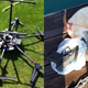 Image for article titled A Drone Smuggling Guns Across the U.S.-Canada Border Got Caught in a Tree